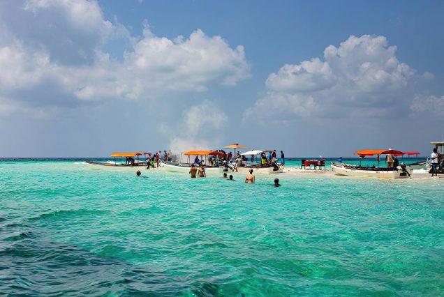 Safari Blue with BBQ Lunch and Snorkelling