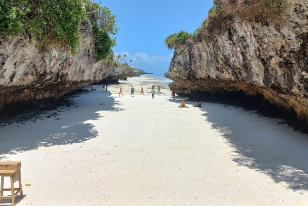 Jozani Forest, Mtende Beach, Salaam Turtle Cave & Rock Restaurant