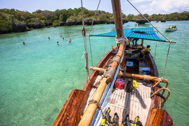 Private Safari Blue with BBQ Lunch