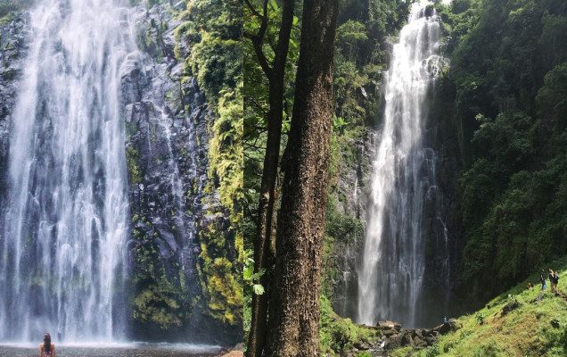 Day trip to Materuni Waterfall and Coffe Tour by Bicycle tour