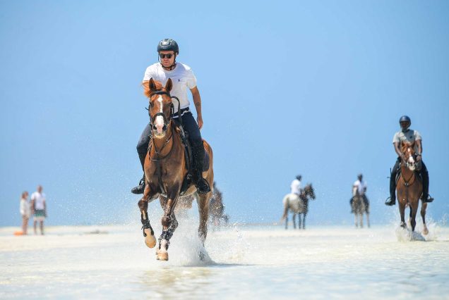 Zanzibar Horses rides with Swimming