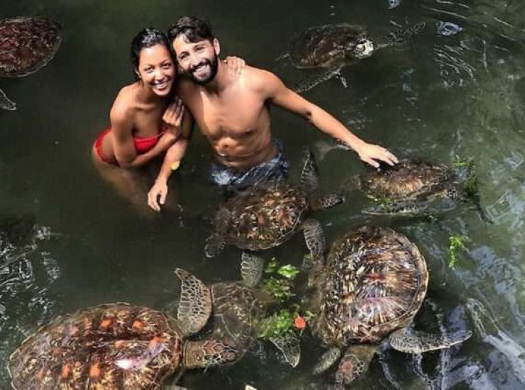 Swimming-With-Turtles-in-Aquarium-04-636x426